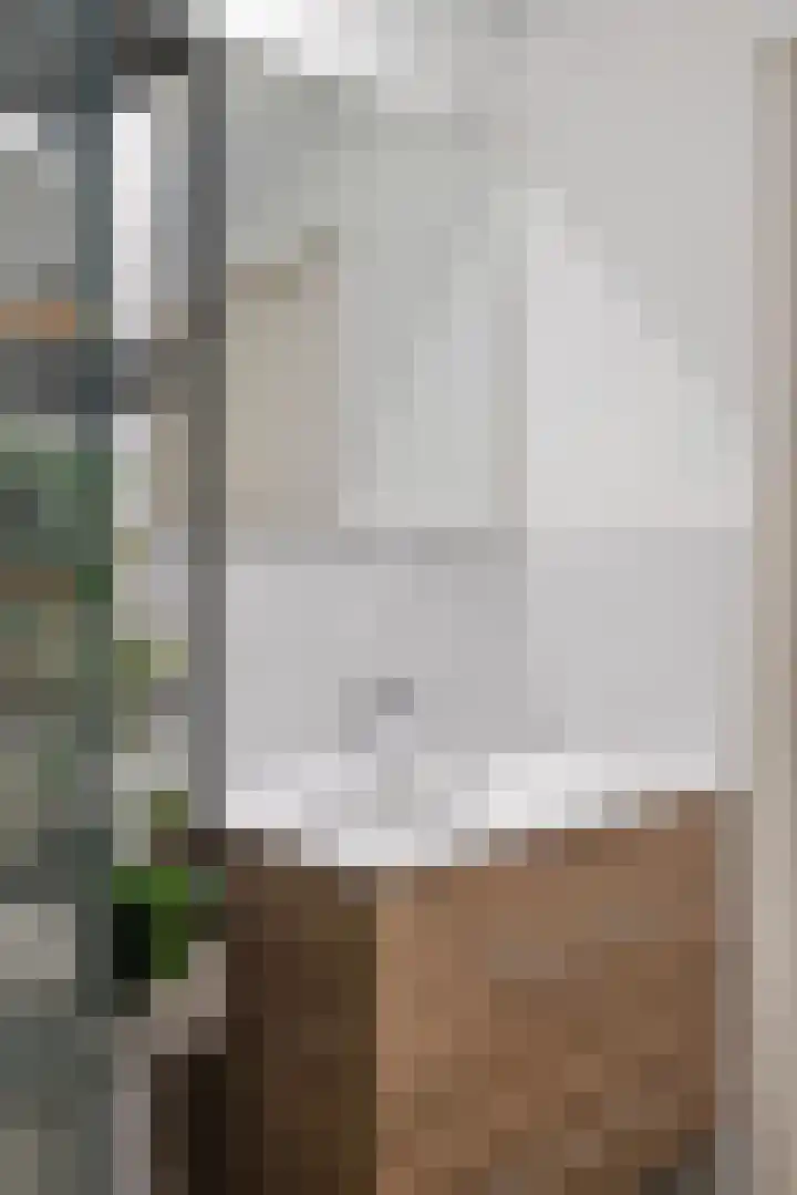 Sterrebos 29 Tiel thumbnail 27