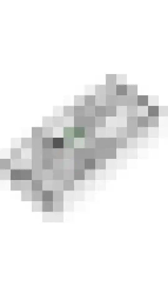 Sterrebos 29 Tiel thumbnail 44