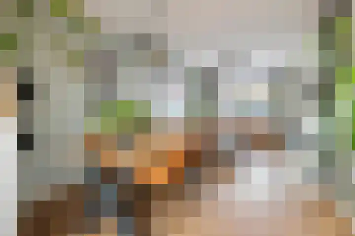 Sterrebos 29 Tiel thumbnail 5