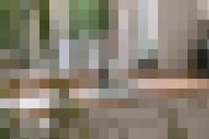 Sterrebos 29 Tiel thumbnail 7
