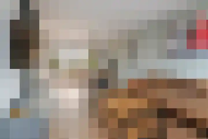 Sterrebos 29 Tiel thumbnail 9