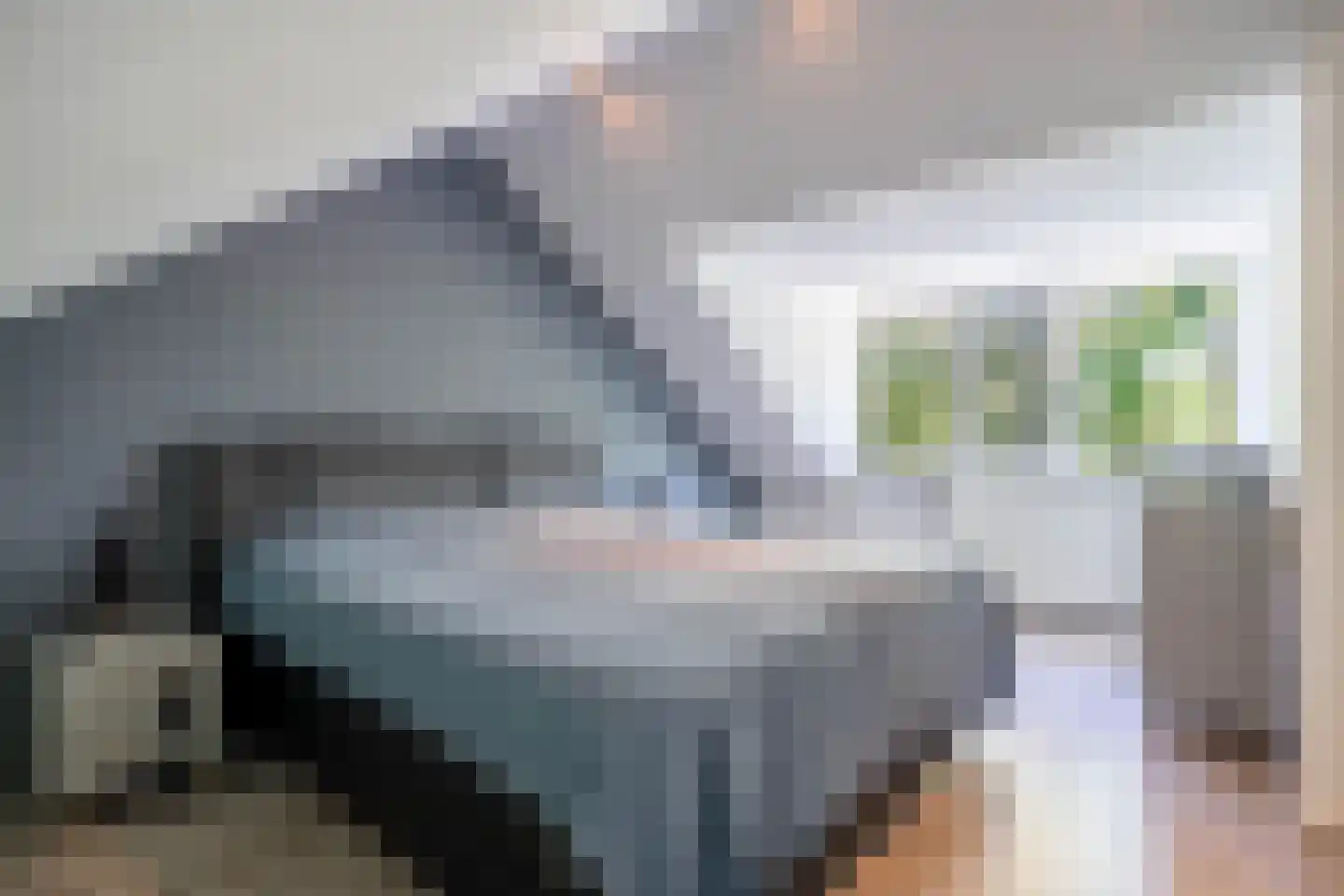Sterrebos 46 Breda thumbnail 23