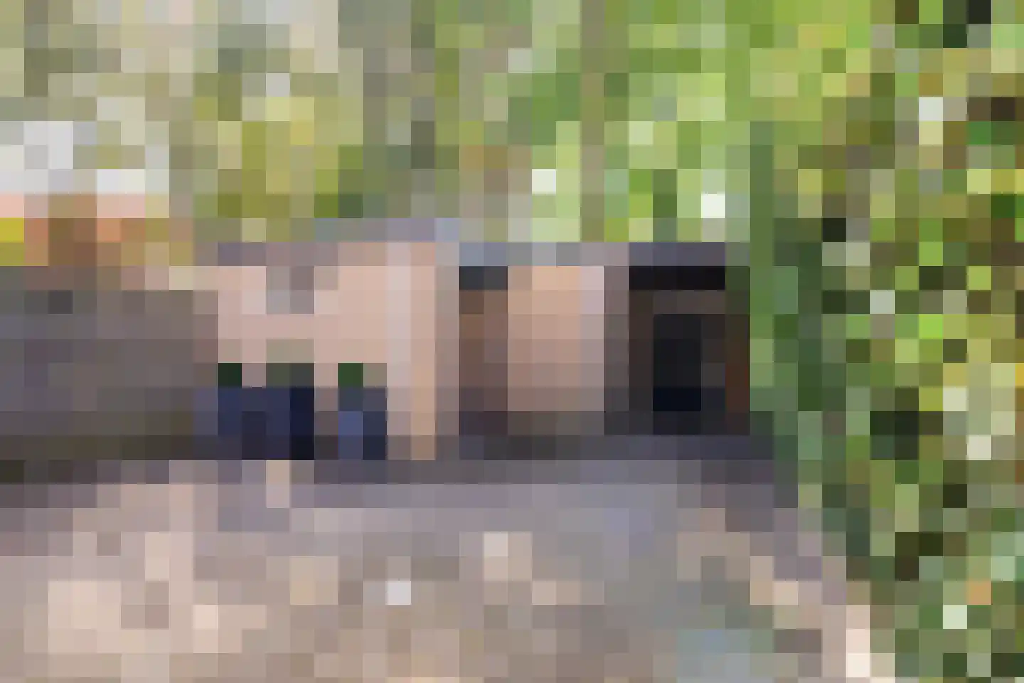 Sterrebos 46 Breda thumbnail 25