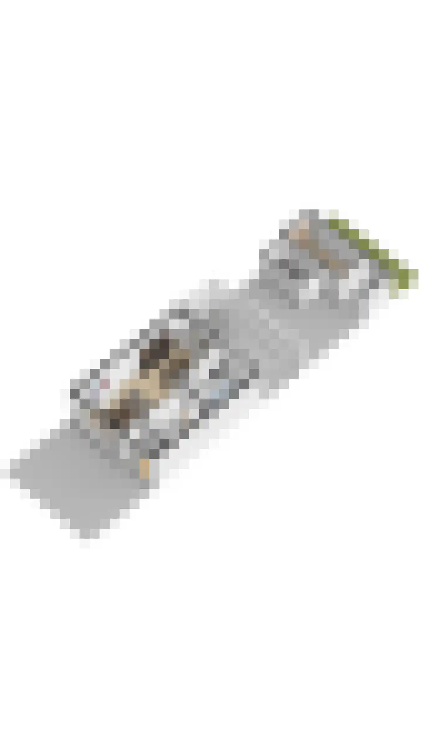 Sterrebos 46 Breda thumbnail 33