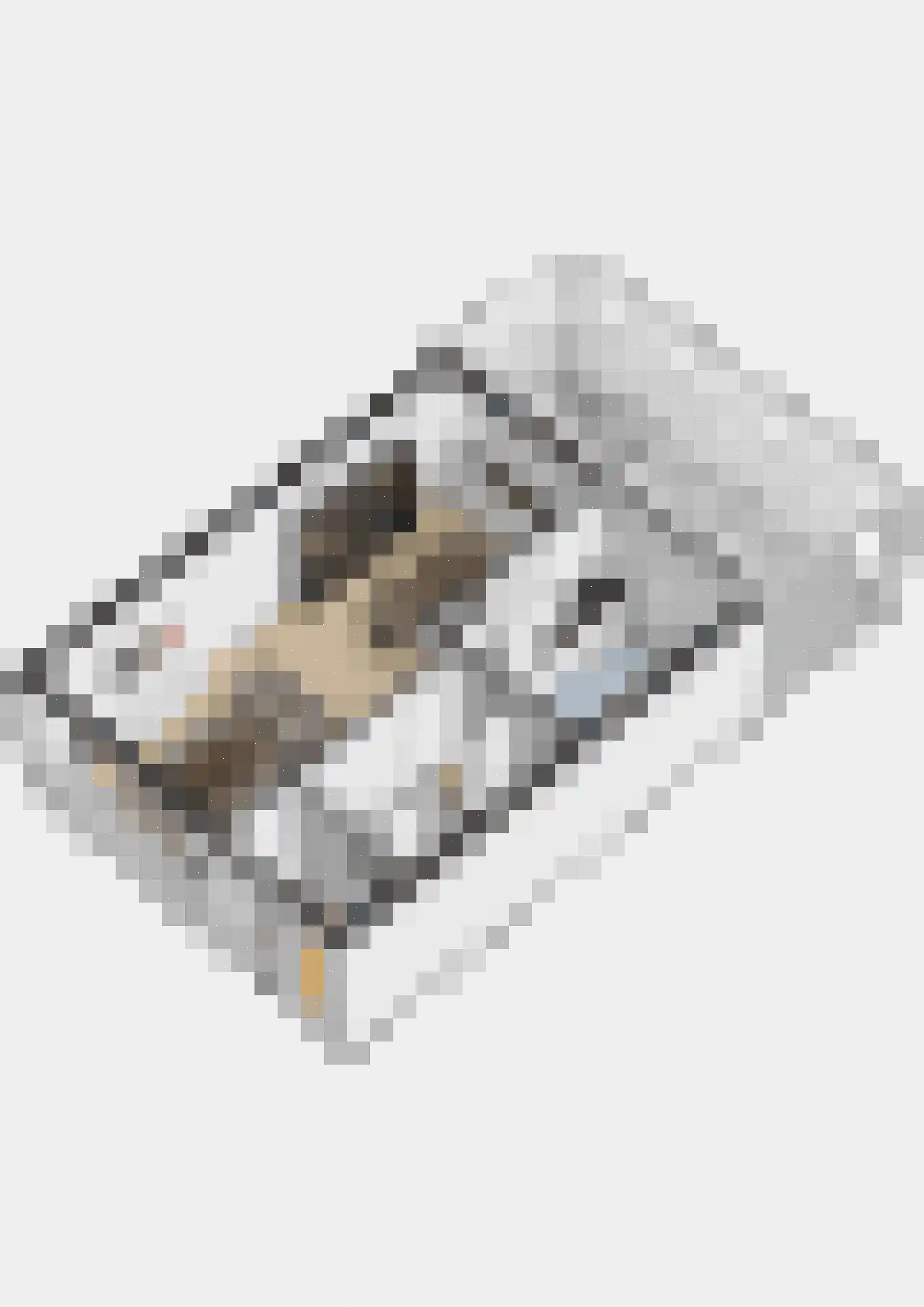 Sterrebos 46 Breda thumbnail 35