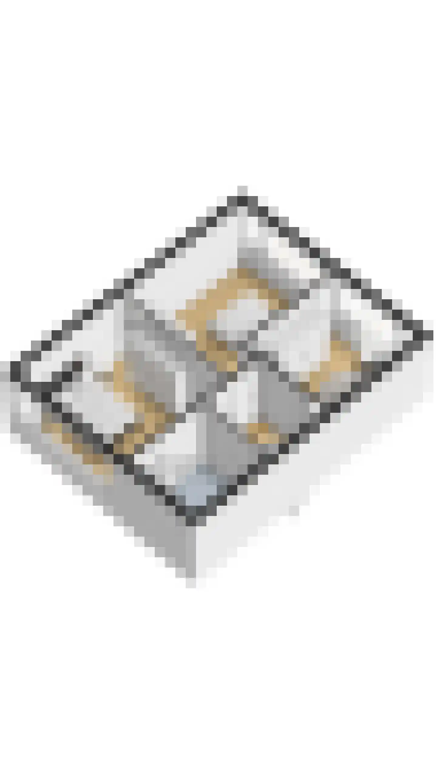 Sterrebos 46 Breda thumbnail 37
