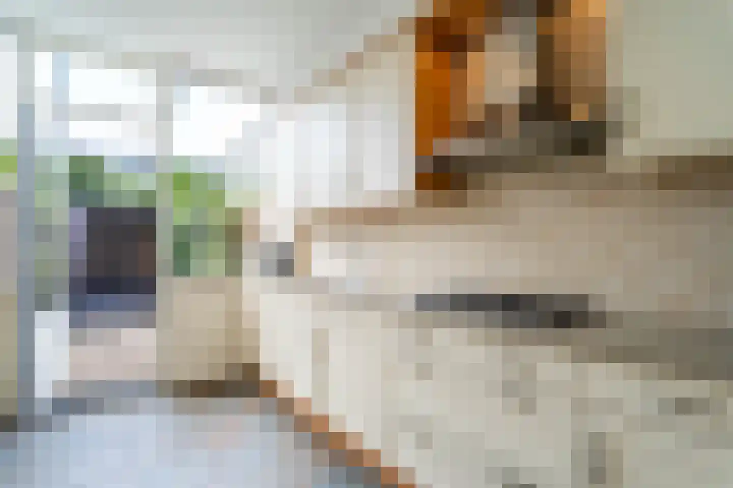 Sterrebos 46 Breda thumbnail 7