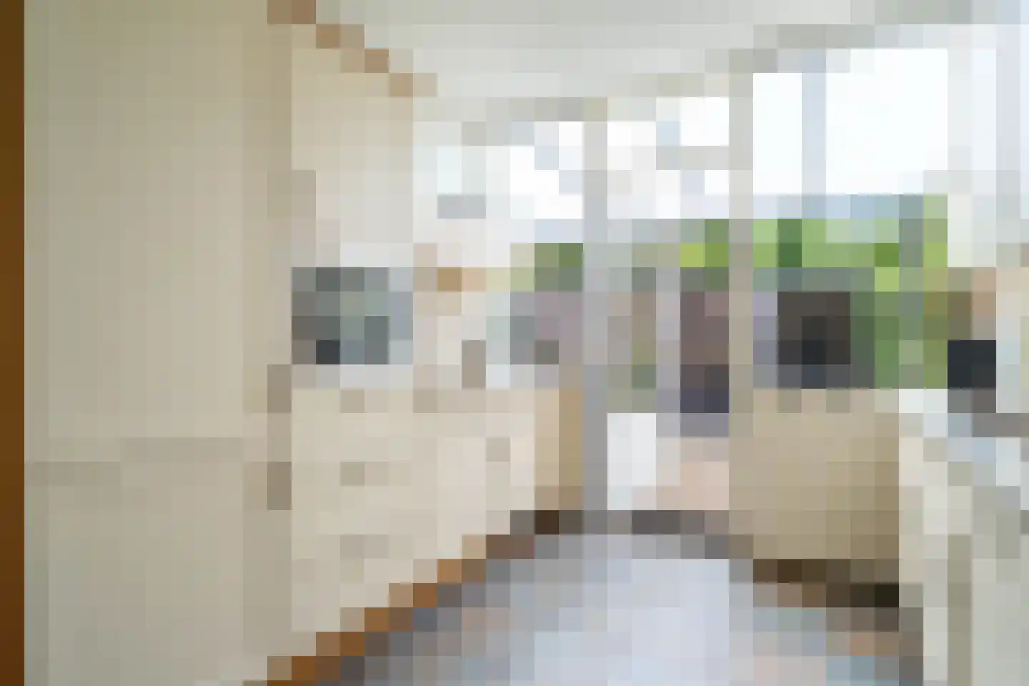 Sterrebos 46 Breda thumbnail 8
