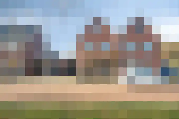 Sterrebos 5 dans Oldebroek
