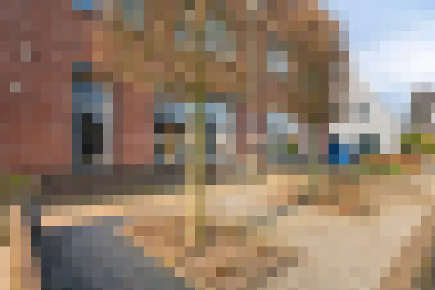 Sterrebos 5 Oldebroek thumbnail 10