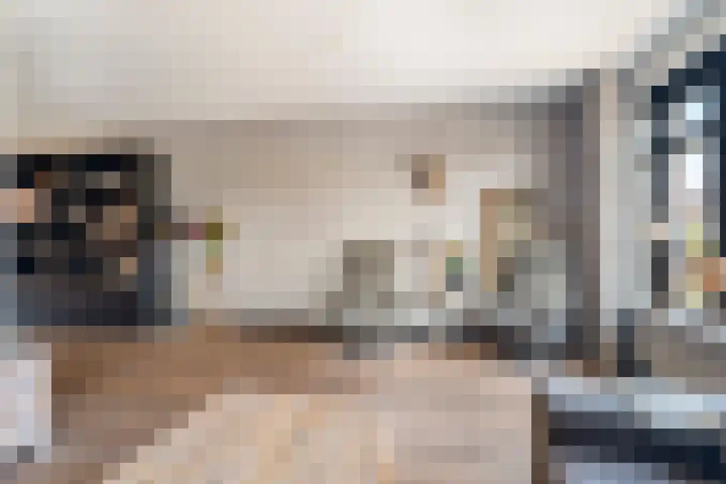 Sterrebos 5 Oldebroek thumbnail 18