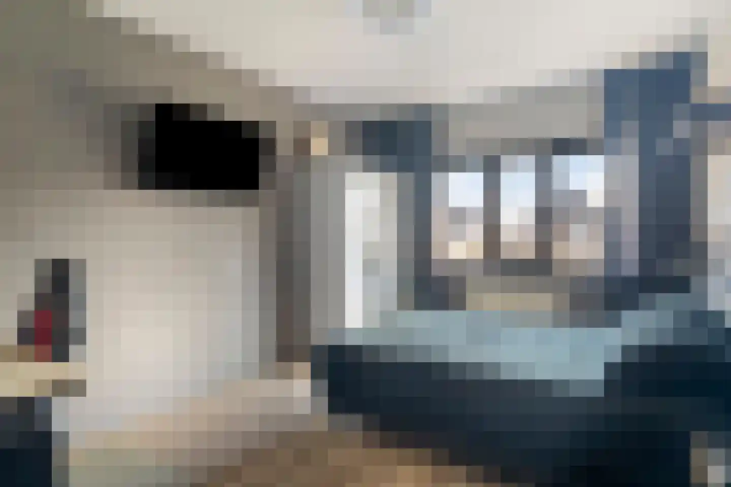 Sterrebos 5 Oldebroek thumbnail 32