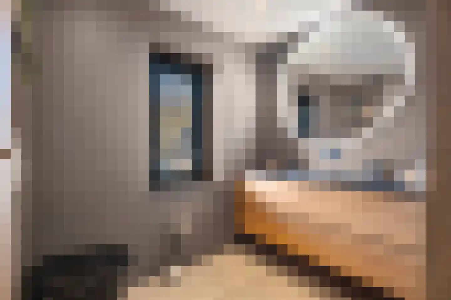 Sterrebos 5 Oldebroek thumbnail 34