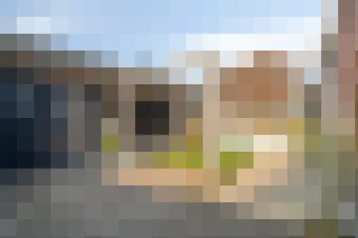Sterrebos 5 Oldebroek thumbnail 5