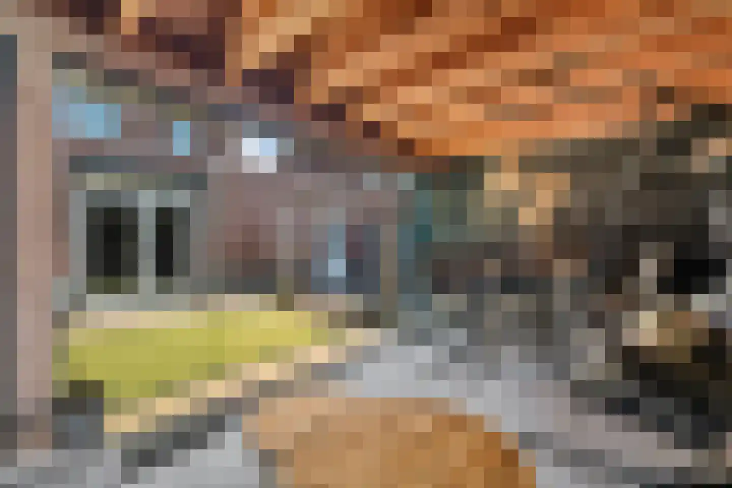 Sterrebos 5 Oldebroek thumbnail 52