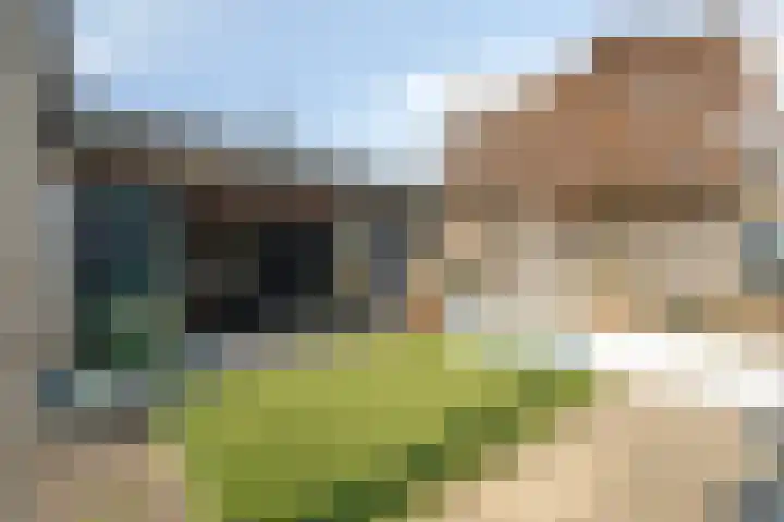 Sterrebos 5 Oldebroek thumbnail 57