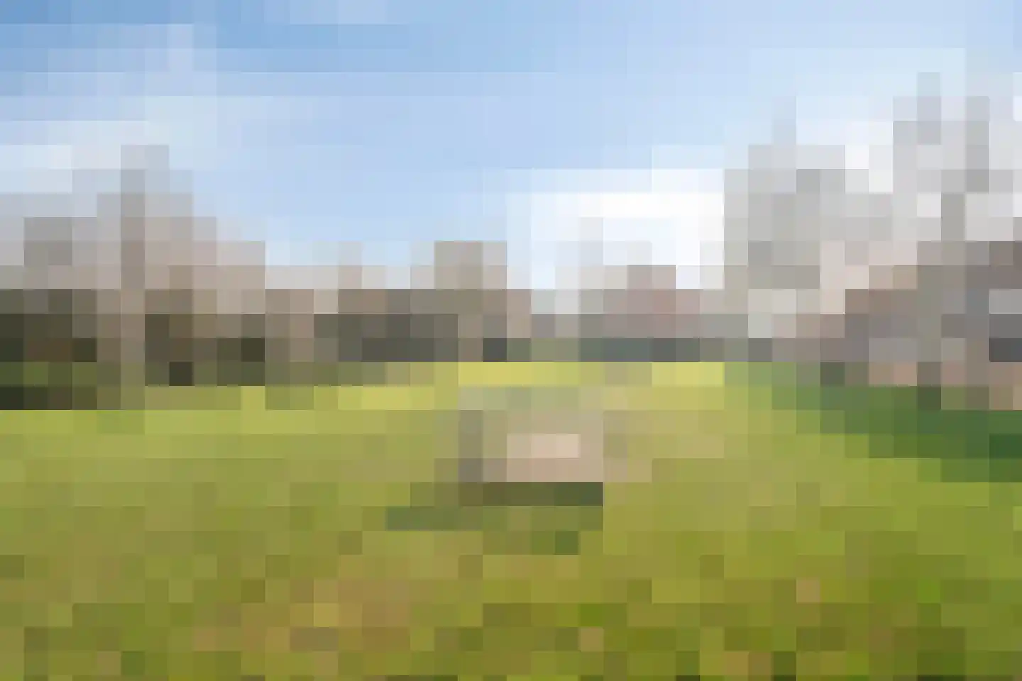 Sterrebos 5 Oldebroek thumbnail 59