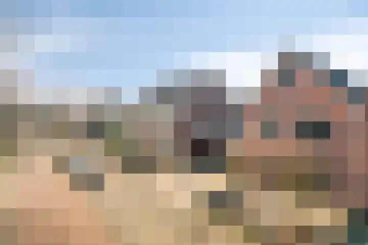 Sterrebos 5 Oldebroek thumbnail 7