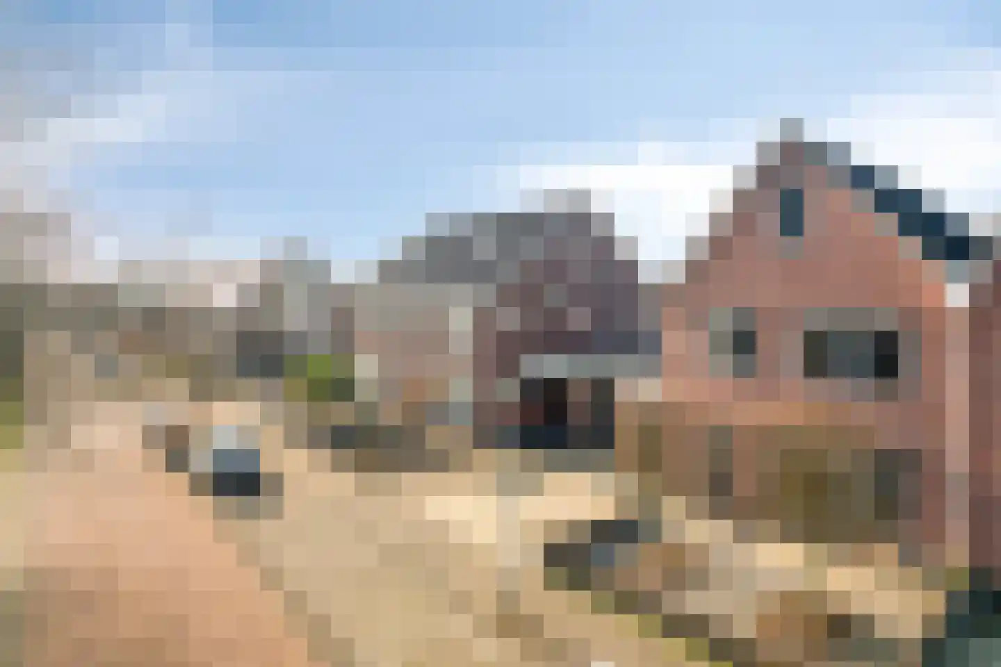 Sterrebos 5 Oldebroek thumbnail 7