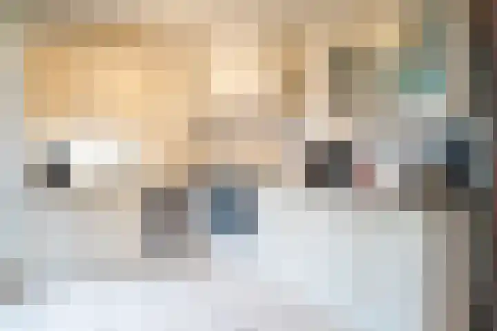 Sterrebos 60 Breda thumbnail 10