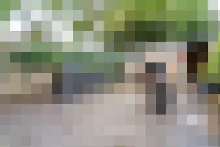 Sterrebos 60 Breda thumbnail 27