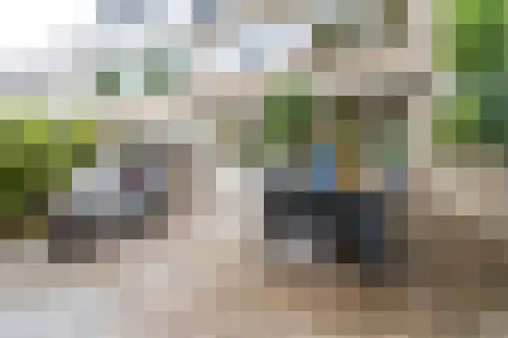 Sterrebos 60 Breda thumbnail 28