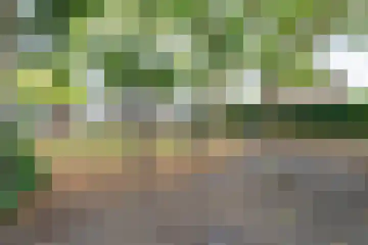 Sterrebos 60 Breda thumbnail 30