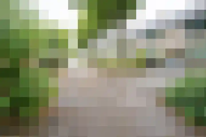 Sterrebos 60 Breda thumbnail 31