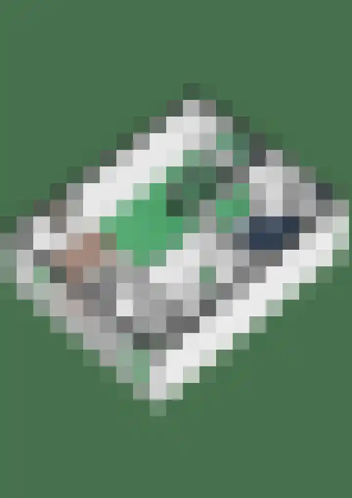 Sterrebos 60 Breda thumbnail 33
