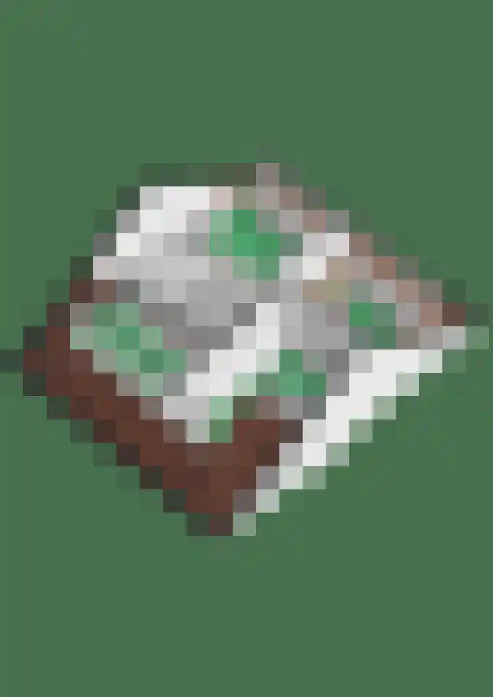 Sterrebos 60 Breda thumbnail 37