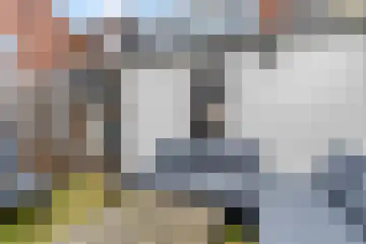 Sterrebos 7 Tiel thumbnail 24