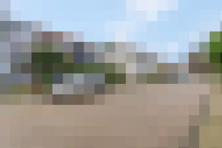 Sterrebos 7 Tiel thumbnail 25
