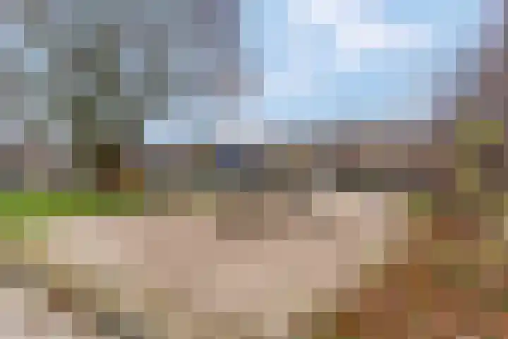 Sterrebos 7 Tiel thumbnail 28