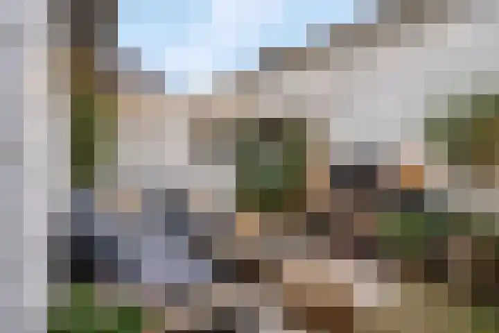 Sterrebos 7 Tiel thumbnail 5