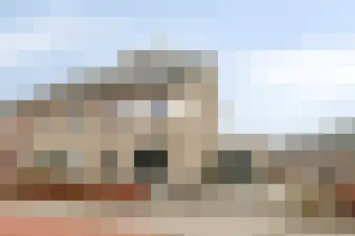 Sterrebos 9 Wijhe