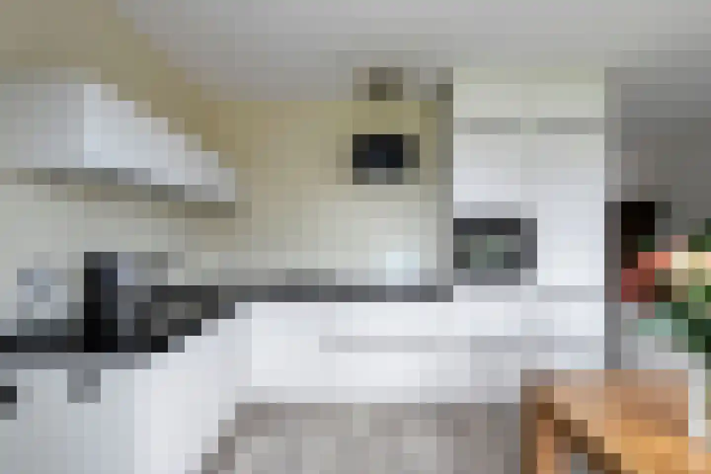 Sterrebos 9 Wijhe thumbnail 10