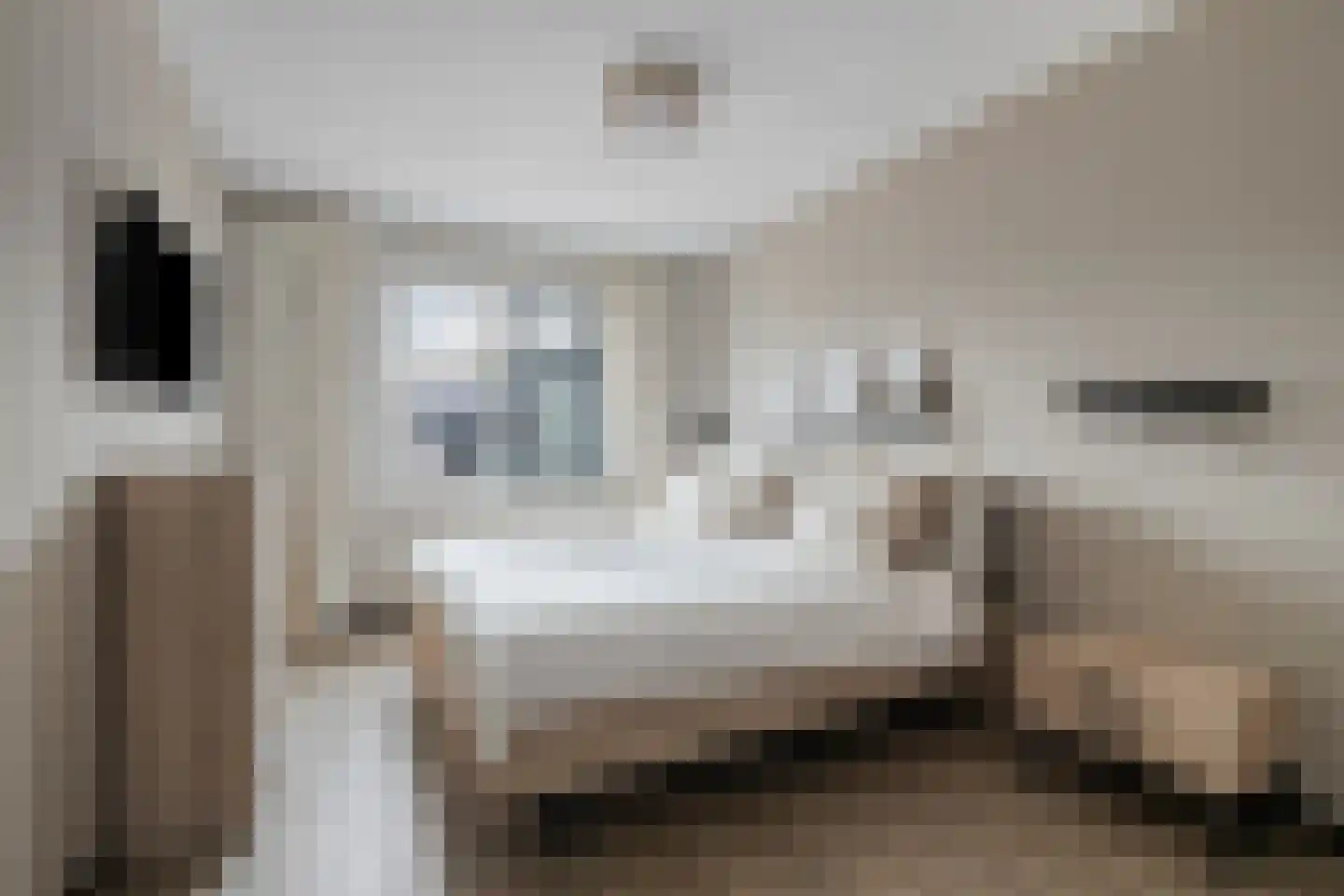 Sterrebos 9 Wijhe thumbnail 13