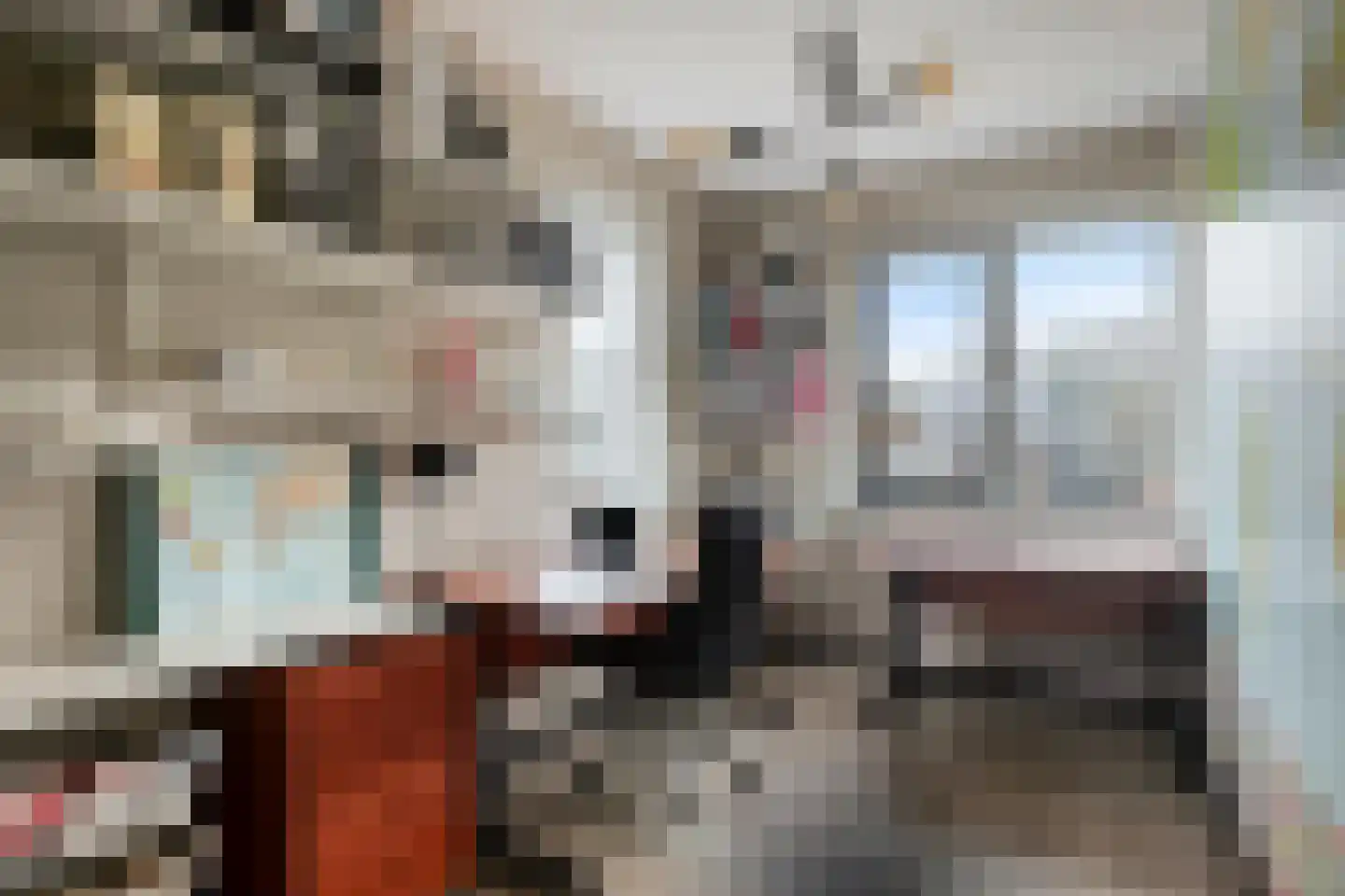 Sterrebos 9 Wijhe thumbnail 15