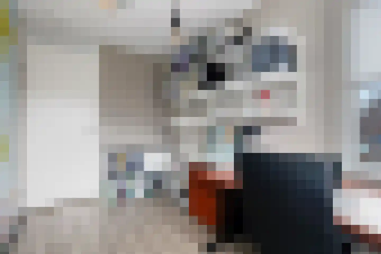 Sterrebos 9 Wijhe thumbnail 16