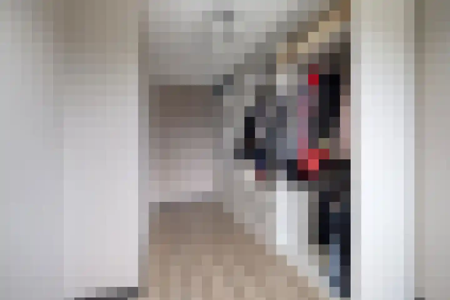 Sterrebos 9 Wijhe thumbnail 18