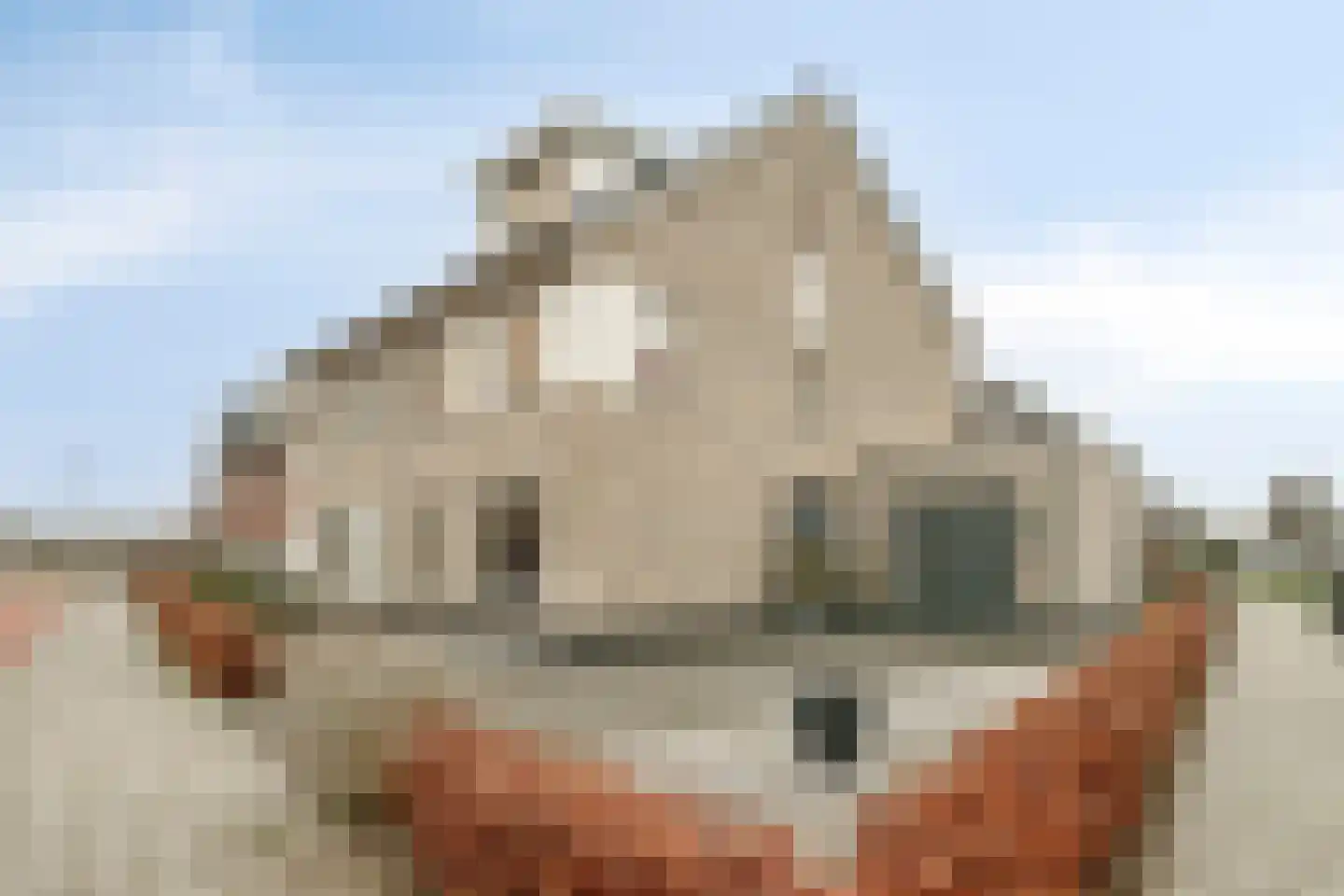Sterrebos 9 Wijhe foto 2