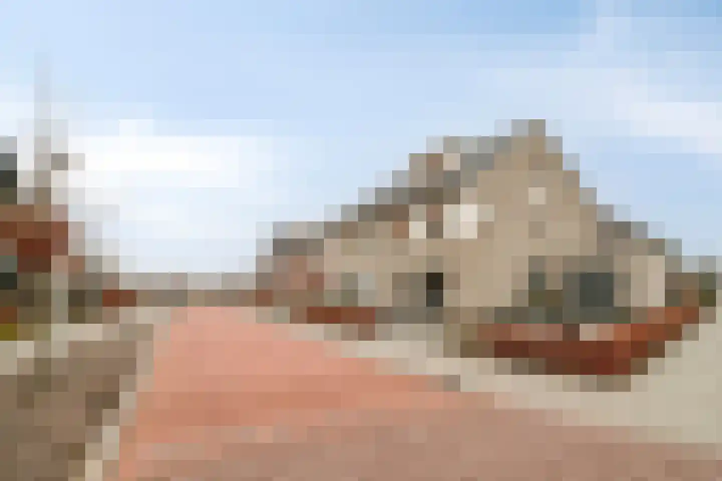 Sterrebos 9 Wijhe thumbnail 4