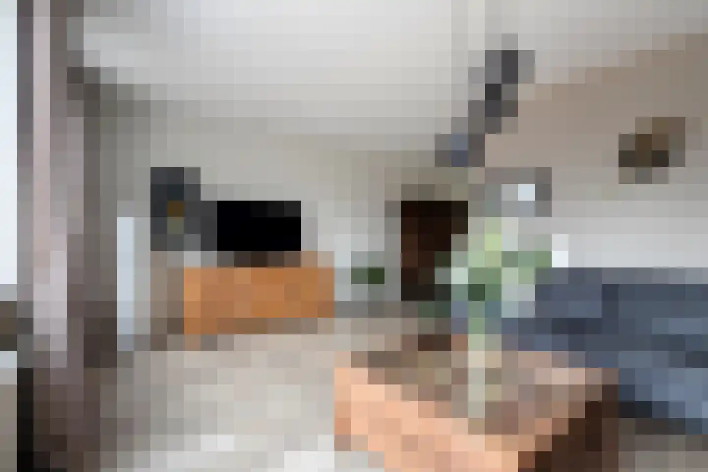 Sterrebos 9 Wijhe thumbnail 7