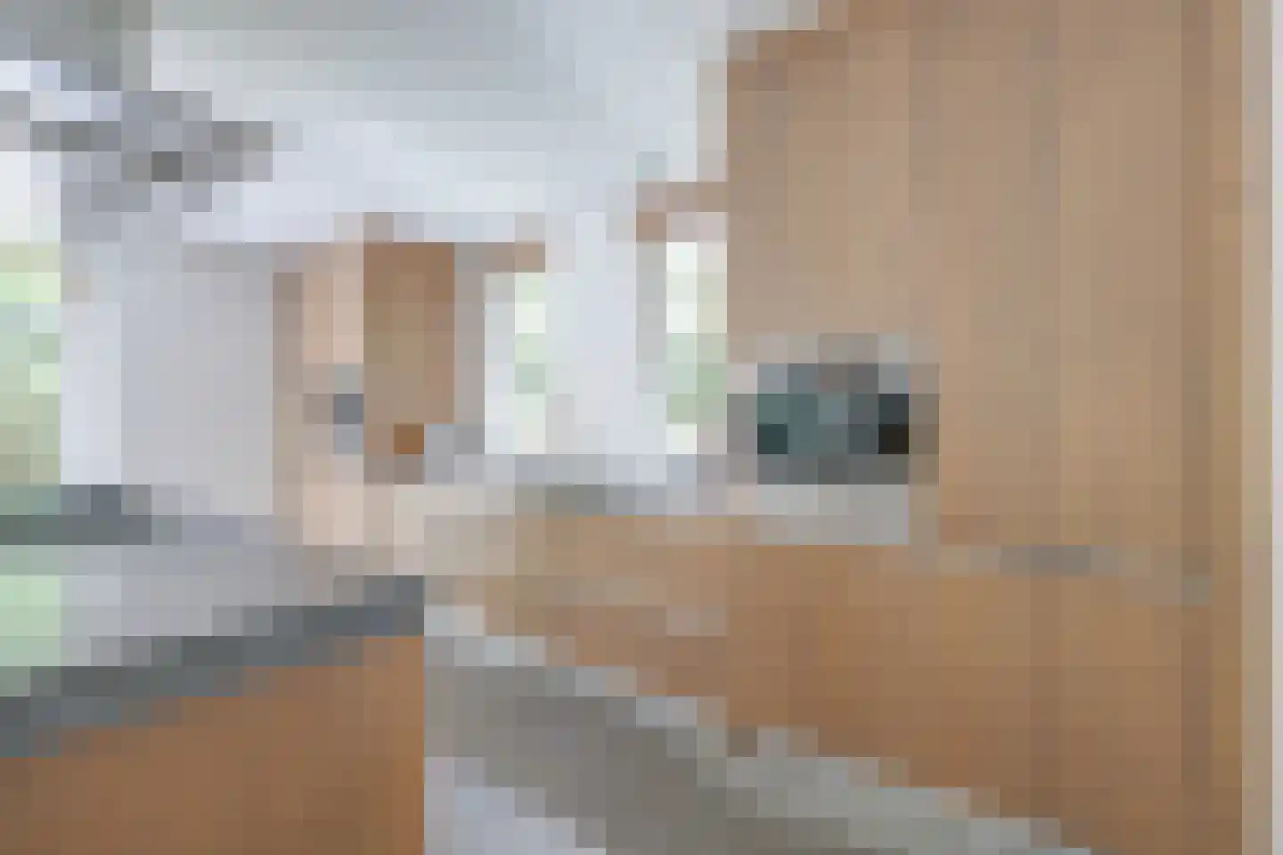 Sterreboslaan 13 Huizen thumbnail 10