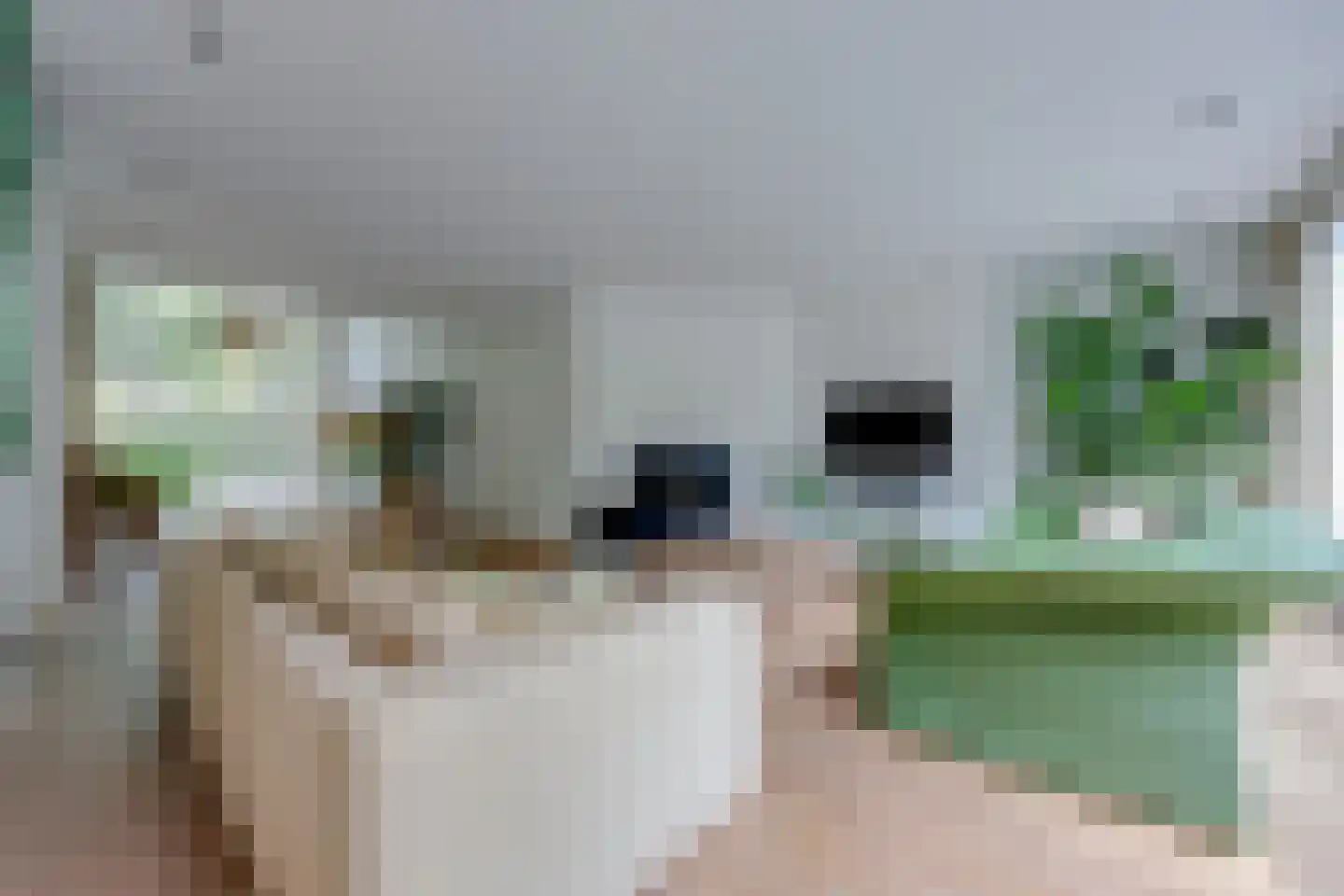 Sterreboslaan 13 Huizen thumbnail 12