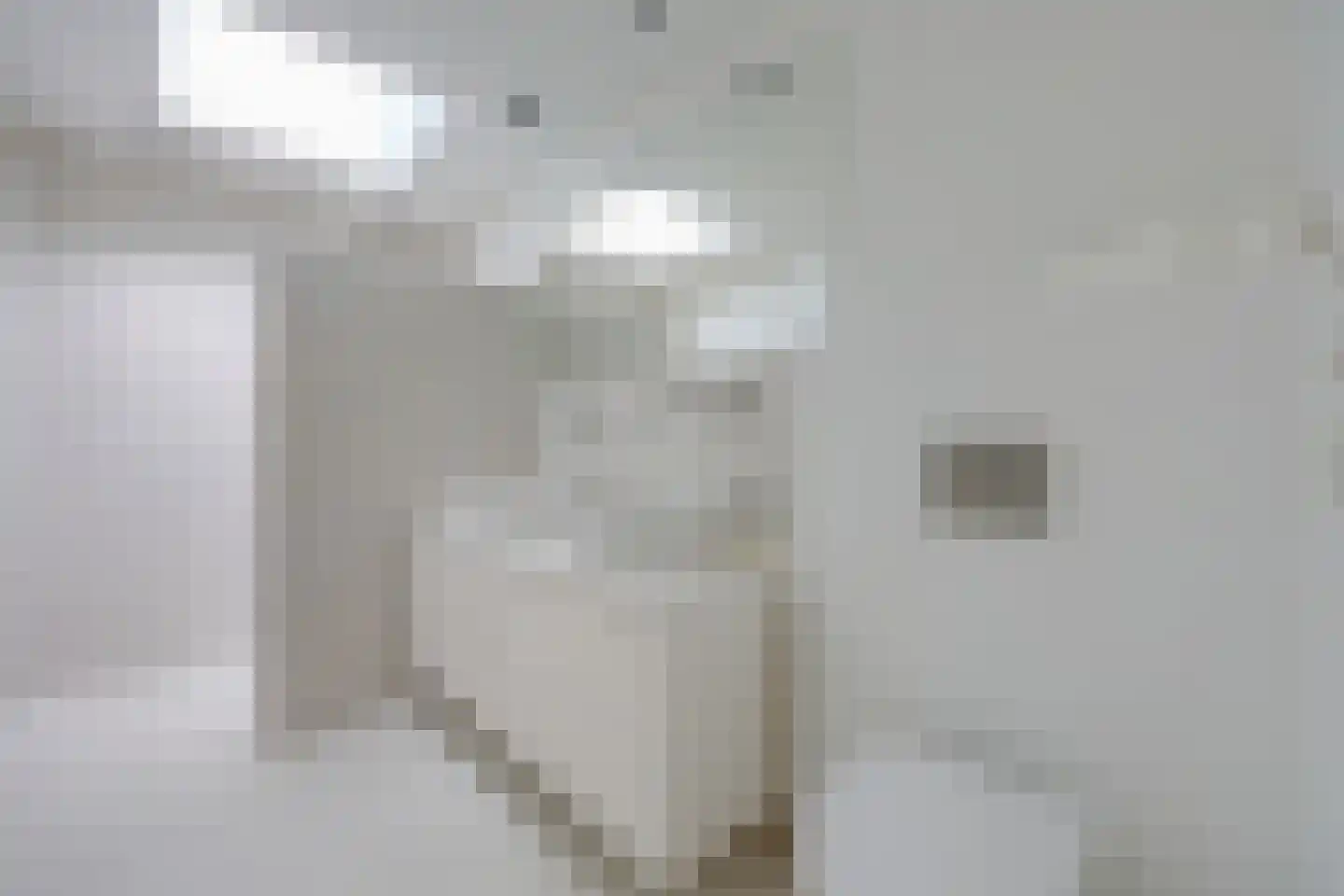 Sterreboslaan 13 Huizen thumbnail 21
