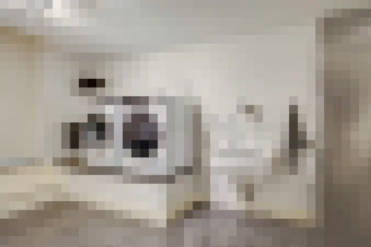 Sterreboslaan 13 Huizen thumbnail 31