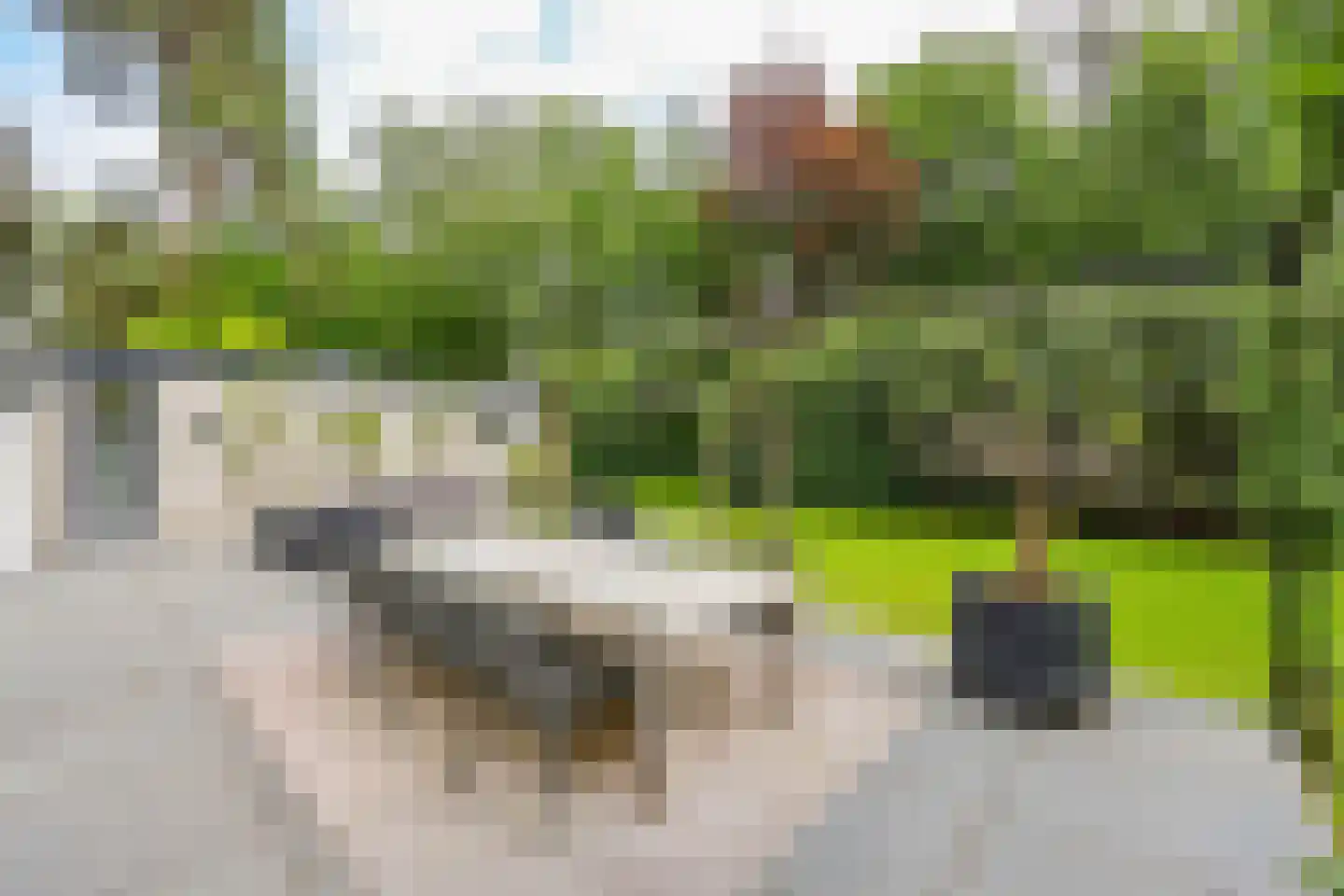 Sterreboslaan 13 Huizen thumbnail 33