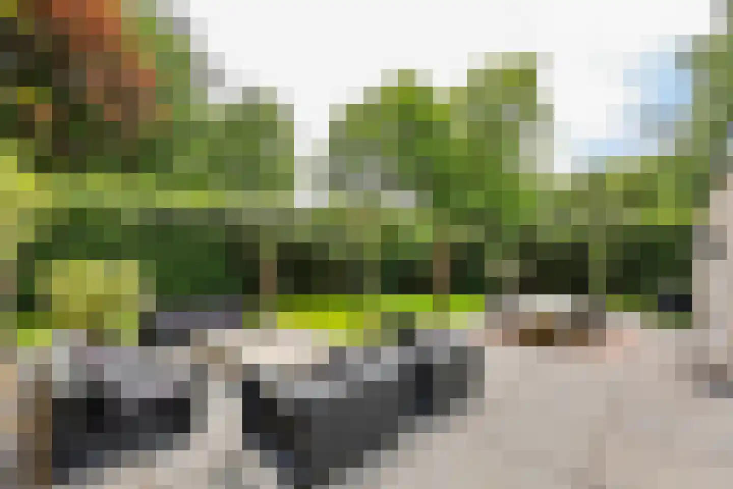 Sterreboslaan 13 Huizen thumbnail 34
