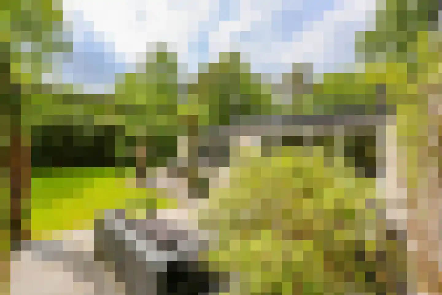 Sterreboslaan 13 Huizen thumbnail 35